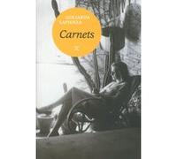 Carnets Goliarda Sapienza (Auteur), Nathalie Castagné (Traduction)