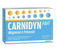CARNIDYN FAST MAGN POT 20BST X 6 g