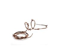 Carnival 08486 Fil barbelé