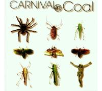 Carnival in Coat - Fear Not