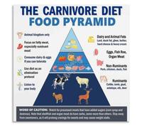 Carnivore Food Pyramid Poster Meat Based Diet Chart Wall Print