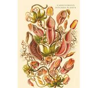 Carnivorous Pitcher Plants: Nepenthaceae-Kannenpflanzen