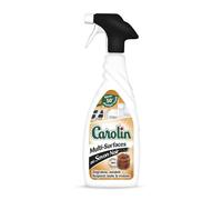CAROLIN - Pistolet Multisurfaces Savon Noir 650Ml - Lot De 4 - Vendu Par Lot
