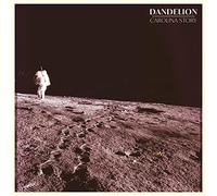 Carolina story - Dandelion