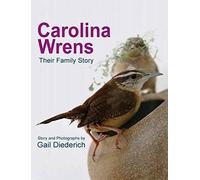 Carolina Wrens: Their Family Story