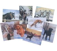 Caroline Cook - Set de cartes de voeux, Hiver Pack de 16 - Carton BZ3665 (Taille unique) (Coloré)