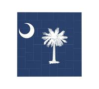 Caroline du Sud Imprimé Drapeau de la Caroline du Sud Bloc de Brique Puzzle Carré Créatif Blocs de Construction Puzzle Maison Bureau Décor