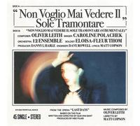 Caroline Polachek - Non Voglio Mai Vedere [7-Inch Single]