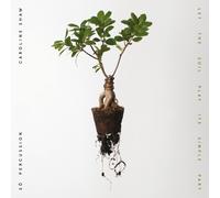 Caroline Shaw Caroline Shaw: Let the Soil Play Its Simple Part (CD) Album