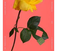 Caroline Shaw : Rectangles And Circumstance