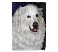 Caroline's Treasures PPP3104GF Drapeaux d'extérieur en polyester 2 plis Multicolore 11 x 15 1/2"