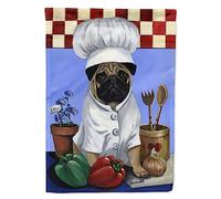 Caroline's Treasures PPP3155GF Drapeau d'extérieur en polyester 2 plis Multicolore 28 x 39 cm