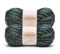 Caron Simply Me Luster Adventurine Lot de 2 paquets de 170 g - 65% nylon, 35% acrylique - #4 peigné (moyen) - 300 m - Tricot/Crochet