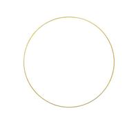 carotoe Cadre de couronne florale pour mariage Anneaux en fer pour porte Fixation murale Accessoire Cercle en fer pour