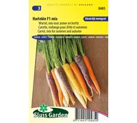 Carotte Arlequin F1 mix Graines - Graines à bulbe - et racines - Env. 0,5 g | SG0485