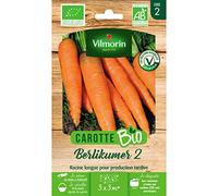 Vilmorin Graines Carotte Berlikumer 2 – Longues racines, excellente conservation, semis facile – BIO