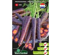 Carotte, Betasweet Purple Elite F1 Graines - Plantes à bulbes et à racines - Environ | SG0481
