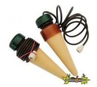 CAROTTE BLUMAT HOUSEPLANT