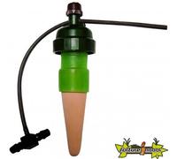 CAROTTE BLUMAT HOUSEPLANT x 3pcs (blister)