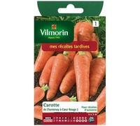 Carotte de Chantenay à coeur rouge 2