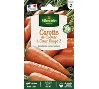 Carotte de Colmar