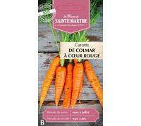 Carotte "de Colmar à Cœur Rouge 2" - 1 sachet