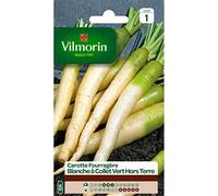 VILMORIN Carotte Fourragère blanche a collet vert hors terre