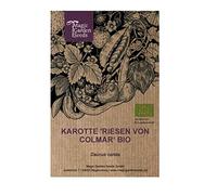 Carotte 'Géante de Colmar' (Daucus carota) Bio