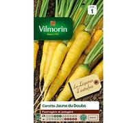 Vilmorin - Sachet graines Carotte Jaune Obtuse du Doubs