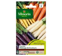 Vilmorin - Sachet graines Carottes mélange de couleurs