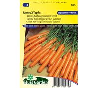Carotte Nantaise 2 Graines de Potix - Graines de tubercules - et racines - Env. 2,5 g | SG0475