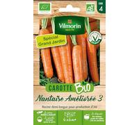 Carotte Nantaise Améliorée 3 - BIO - Grand Modèle