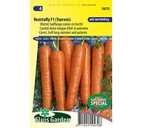 Carotte Resistafly F1 (Tozresis) - Les plantes á tubercules et racines
