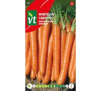 Carottes Amsterdam Graines - Savoureuse et fine