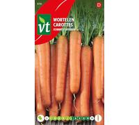 Carottes Flyaway F1 hybride Graines - Résiste bien à la mouche de la carotte