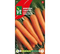 Carottes Nantaise demi-long Graines - Belle racine bien colorée à bout obtus