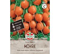 Carottes, « Parisien marché 5 ».
