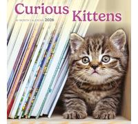 Carousel Calendars, Mini calendrier mural 2026 Motif chatons curieux