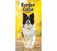 Carousel Worldwide, Agenda fin 2026 Border Collies
