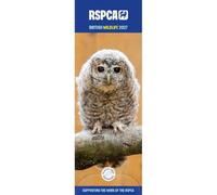 Carousel Worldwide British Wildlife Calendrier mural 2027 fin sur 12 mois, photographie d'animaux indigènes