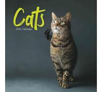 Carousel Worldwide, Calendrier mural 2026 à fil Motif chats