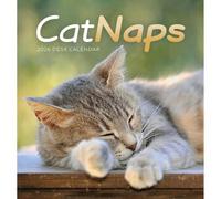 Carousel Worldwide, Cat Naps Calendrier de bureau 2026 avec chevalet
