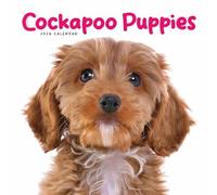 Carousel Worldwide, Cockapoo Puppies Mini calendrier mural 2026