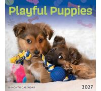Carousel Worldwide Playful Puppies Mini calendrier mural 2027 - Calendrier de 16 mois, mini calendrier mural mensuel, affichage mural compact, 17,8 x 17,8 cm, cadeau