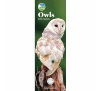 Carousel Worldwide, RSPB Calendrier mural fin 2026 Motif chouettes