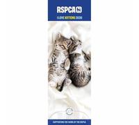 Carousel Worldwide, RSPCA Calendrier mural 2026 avec inscription « I Love Kittens »