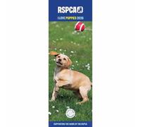 Carousel Worldwide, RSPCA Calendrier mural fin 2026 I Love Puppies