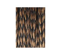 CARP SPIRIT Tresse A Bas DE Ligne HERCULINE Brown - 20M - Marron, 20, 9.1