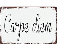 Carpe Diem Plaque en métal rétro vintage 20,3 x 30,5 cm Décoration murale