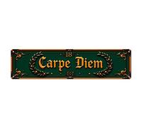 Carpe Diem - Plaque en métal vintage - Cadre décoratif - Décoration murale - 10,2 x 40,6 cm